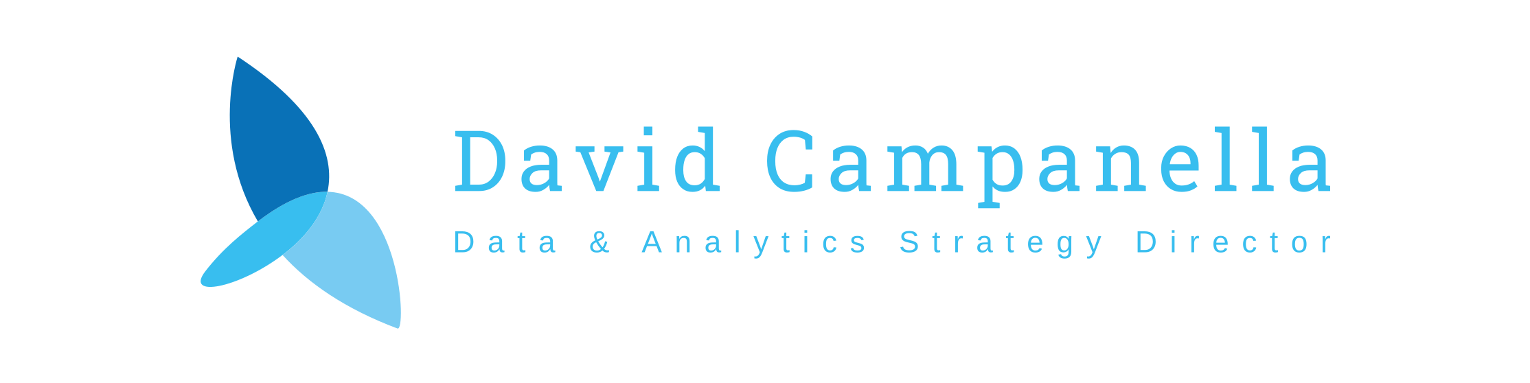 David Campanella's Blog